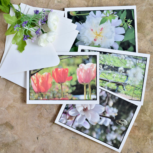 Spring Greeting Cards - Eco-Friendly, Handprinted Floral Spring Cards