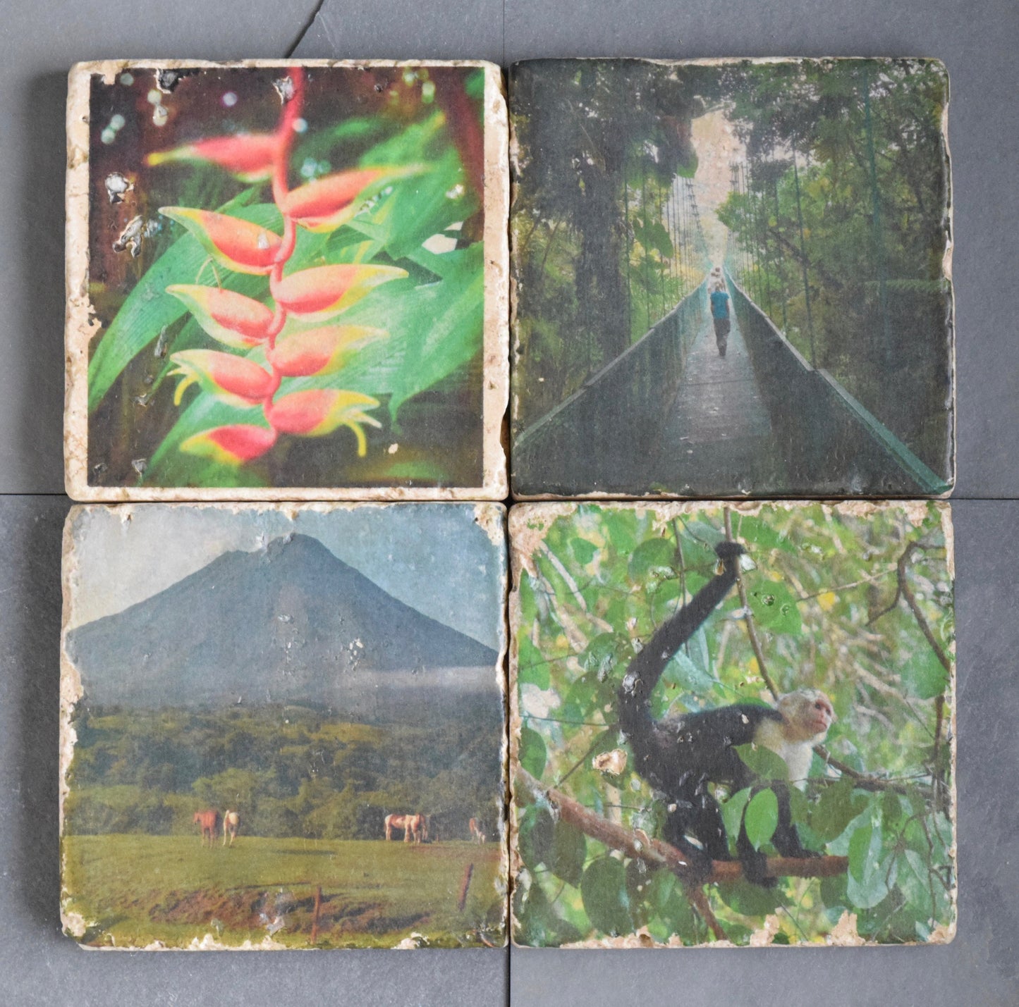 Costa Rica Stone Coasters - Lush Costa Rica Drink Coasters