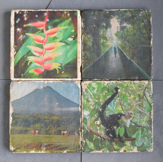 Costa Rica Stone Coasters - Lush Costa Rica Drink Coasters