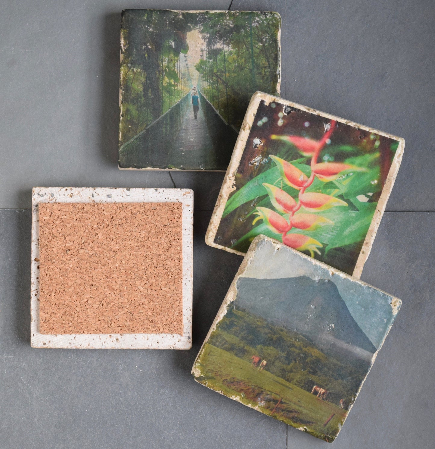 Costa Rica Stone Coasters - Lush Costa Rica Drink Coasters
