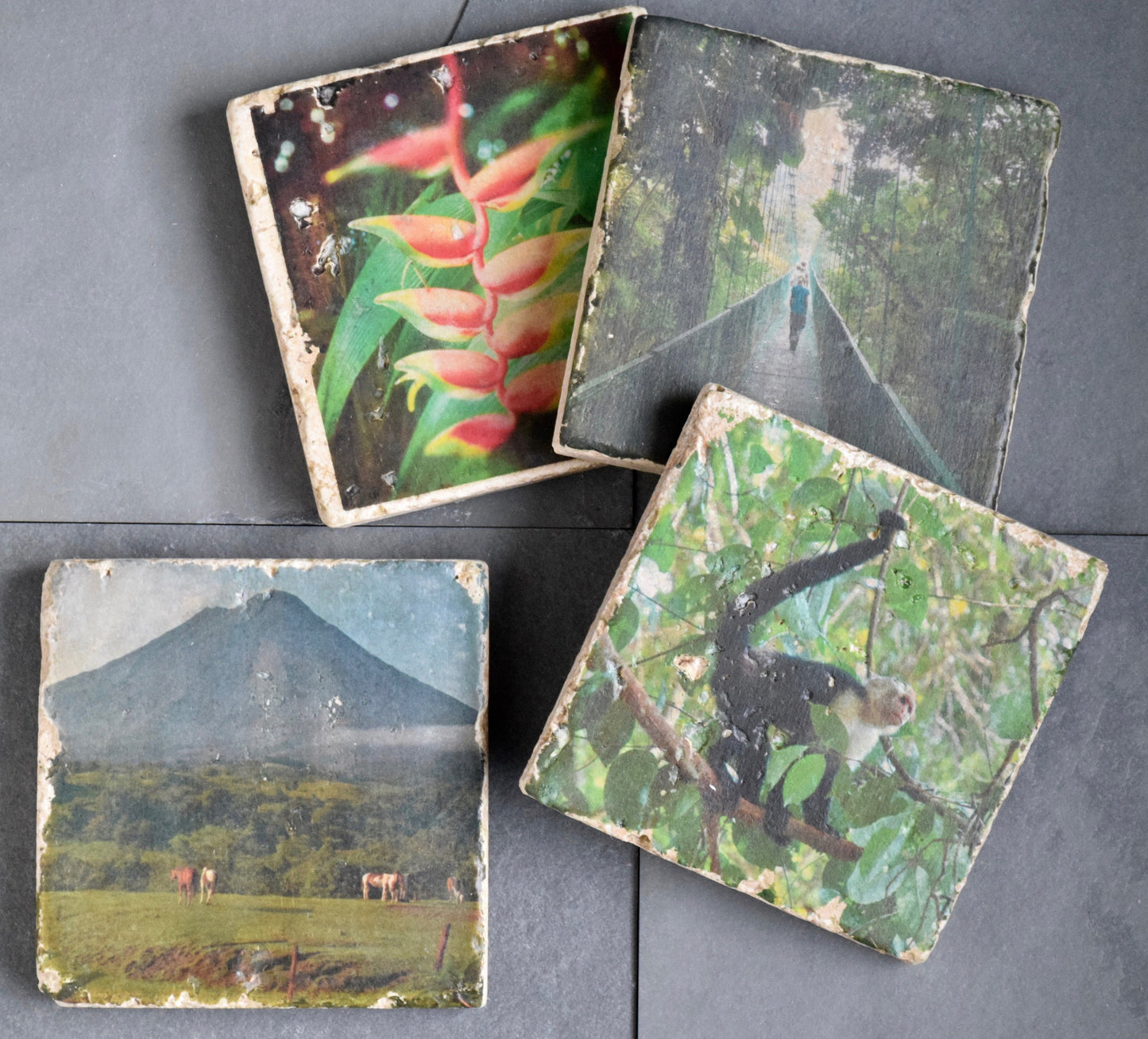 Costa Rica Stone Coasters - Lush Costa Rica Drink Coasters