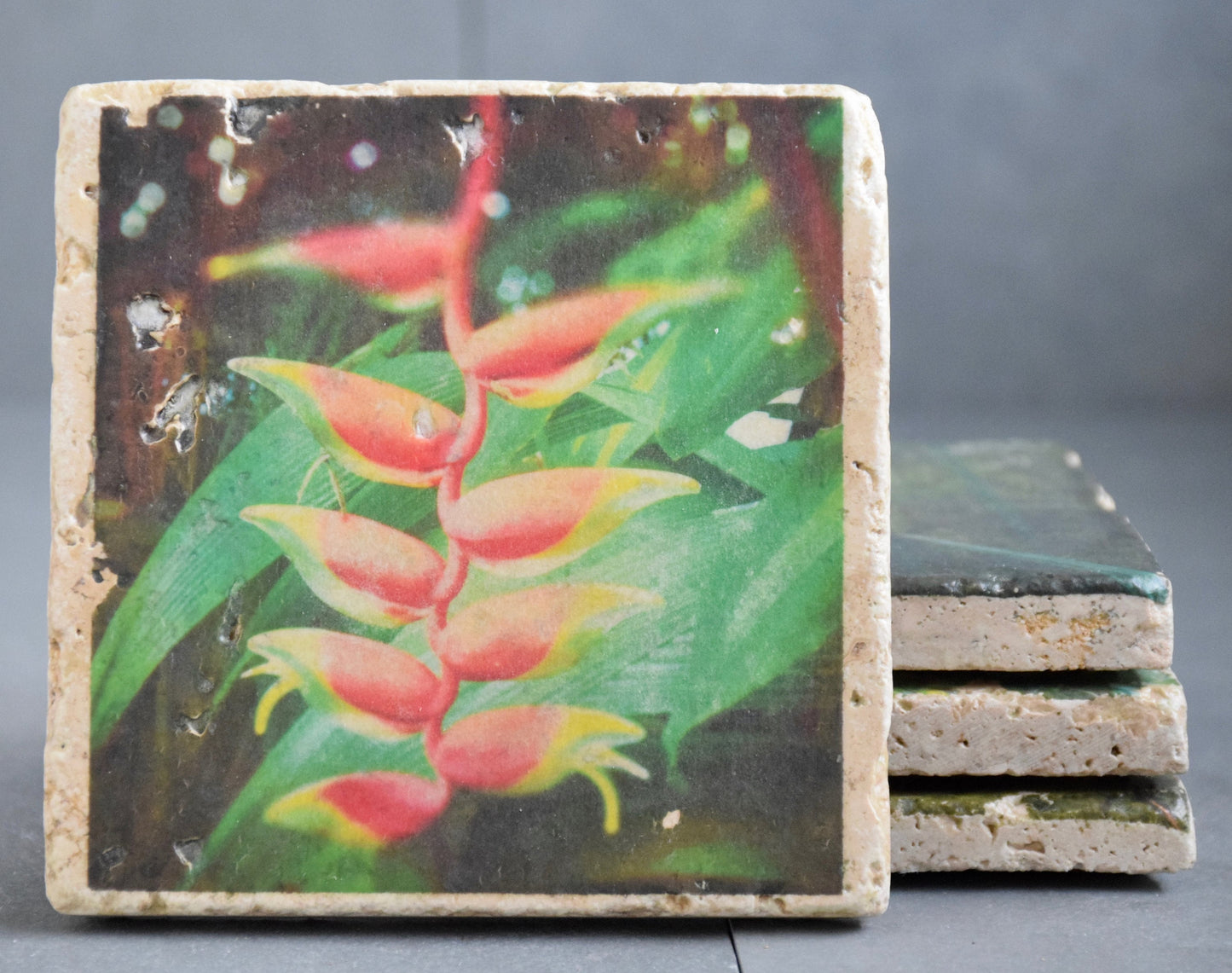 Costa Rica Stone Coasters - Lush Costa Rica Drink Coasters