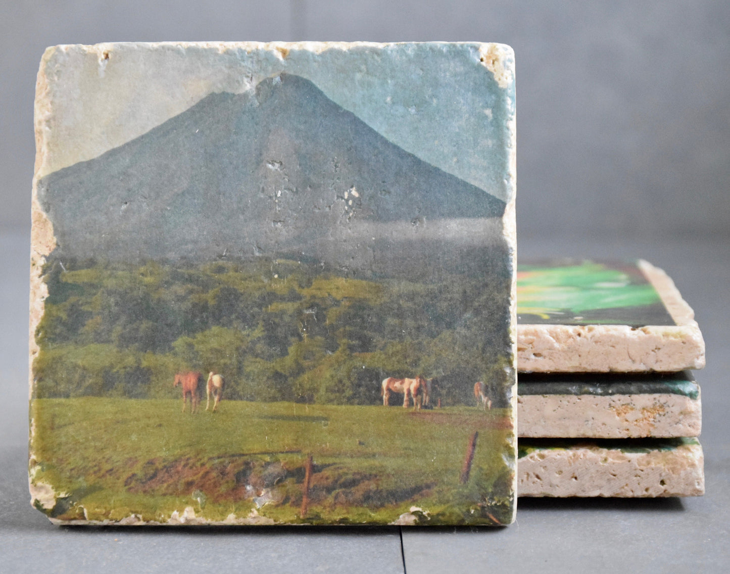 Costa Rica Stone Coasters - Lush Costa Rica Drink Coasters