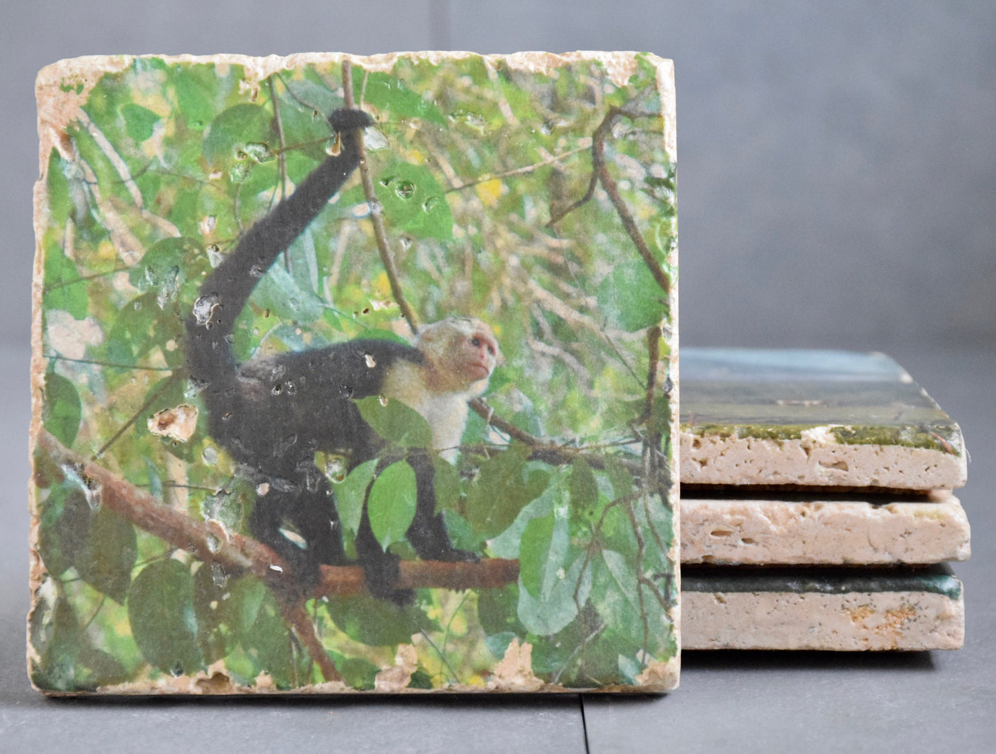 Costa Rica Stone Coasters - Lush Costa Rica Drink Coasters
