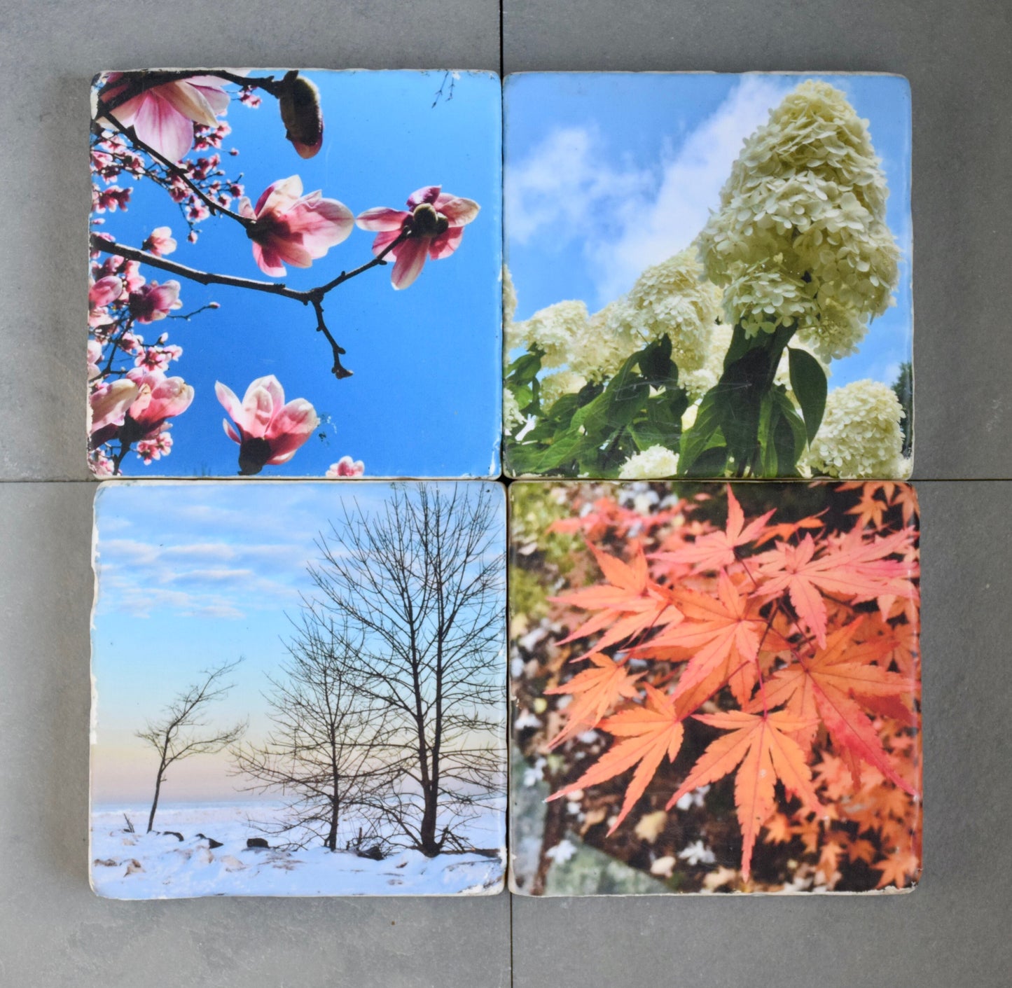 Seasonal Stone Coasters - Spring, Summer, Fall, Winter Coaster Set
