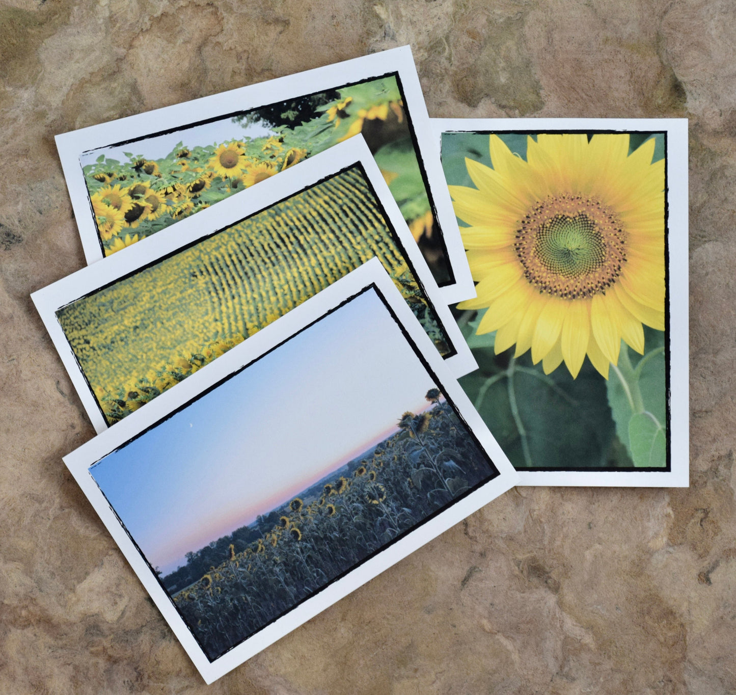 Sunflower Greeting Cards - Inspirational, Eco-Friendly Sunflower Cards